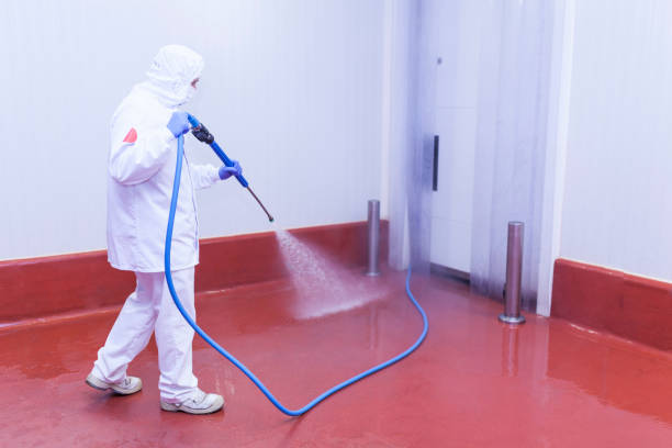 Boat and Dock Cleaning in Pace, FL